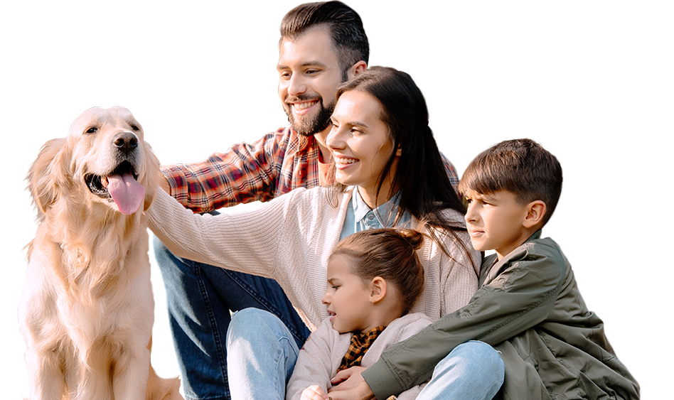 Услуги адвоката по семейным спорам